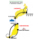 RESERVATION TRIATHLON CAMP TOUR CANARIES 2026